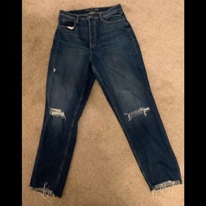 Extra High-Rise Curvy Straight Jeans